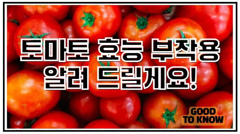토마토-효능-부작용-썸네일